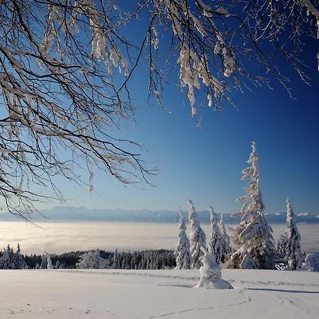 Holiday home Buflak *