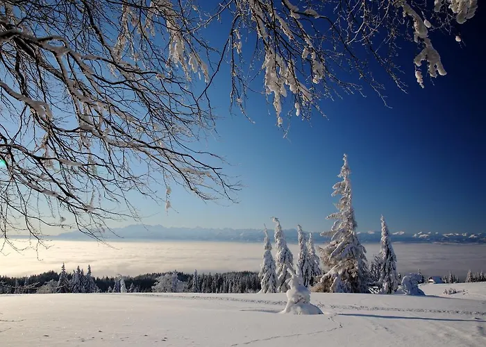 Dom wakacyjny Buflak *