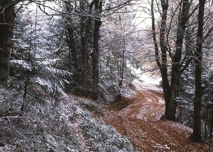 Dom wakacyjny Buflak Nowy Targ