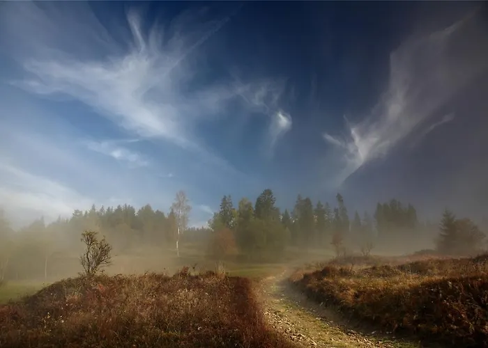 Dom wakacyjny Buflak